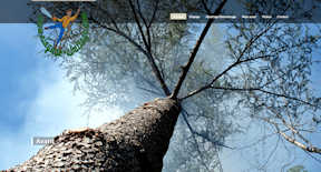 elagage abattage arbres